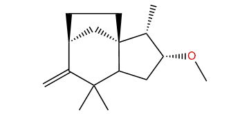 Preziza-7(15)-en-3a-yl methyl ether